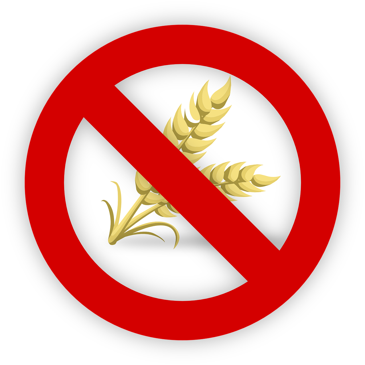 pane senza glutine