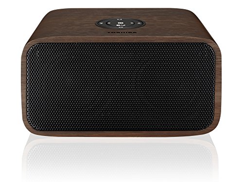 Toshiba TY-WSP54EU - Recensione - Opinioni e Migliori Offerte