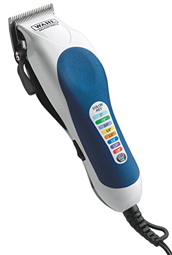 Wahl 79300-1616 - Recensione - Opinioni e Migliori Offerte